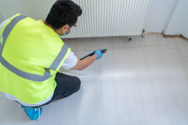 Best Fumigation Services  in Chandler, IN